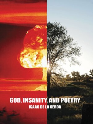 cover image of God, Insanity, and Poetry
